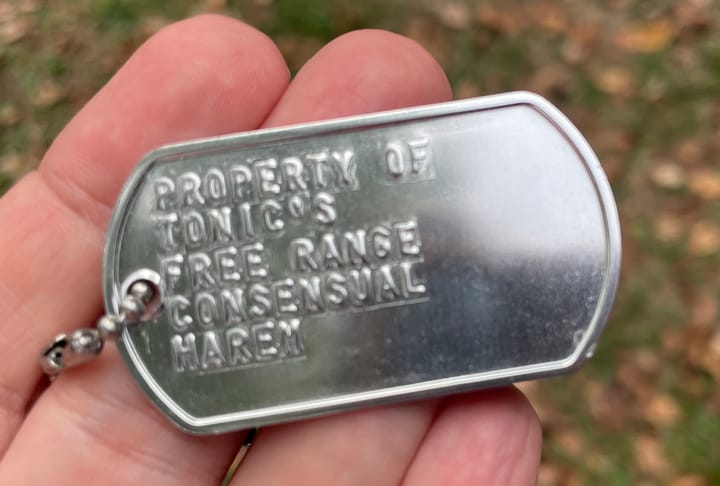 The Harem Takes Shape